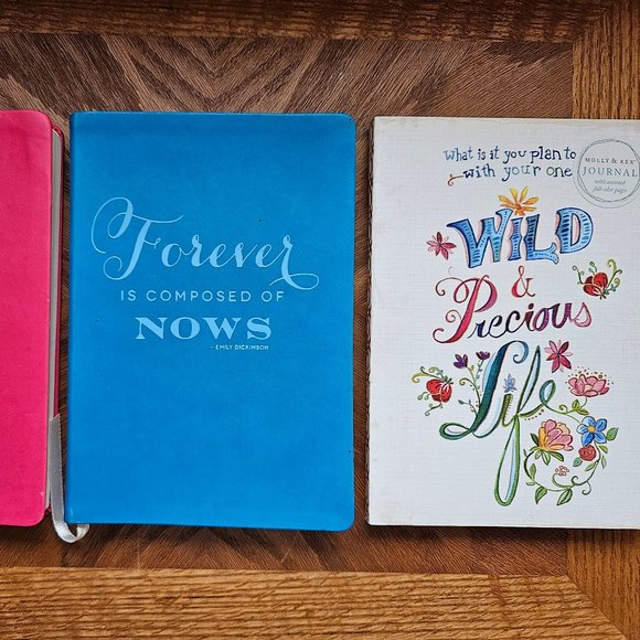 Blank Journals 📓 - Picture 2 of 8